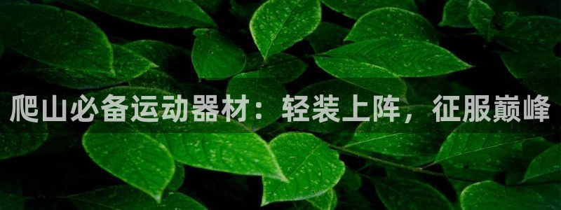 意昂体育3招商电话号码是多少号：爬山必备运动器材：轻