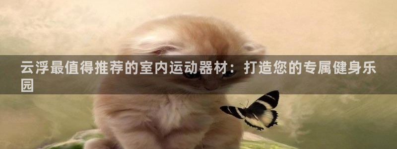 意昂体育3招商电话号码是多少:云浮最值得推荐的室内运动器材: