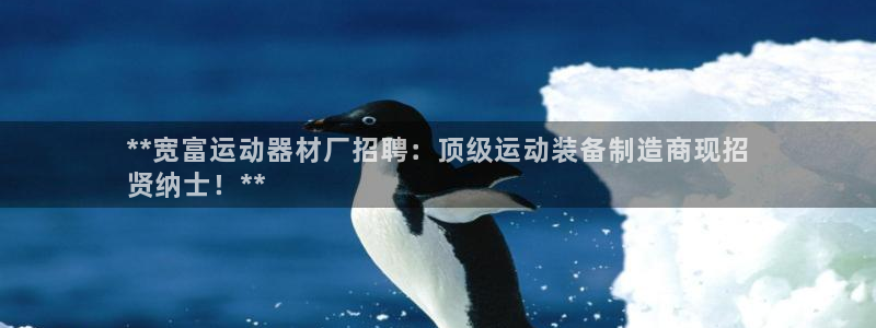 意昂体育3平台是正规平台吗知乎:**宽富运动器材厂招聘:顶级